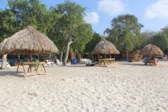 IMG_3965