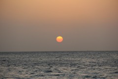 IMG_3969