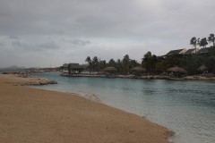 IMG_3979