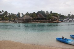 IMG_3980