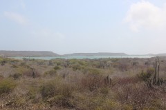 IMG_4000