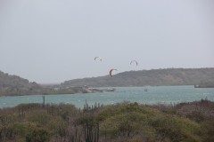 IMG_4001