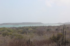 IMG_4002