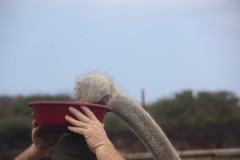 IMG_4030