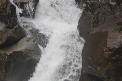 IMG_4776
