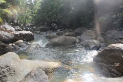 IMG_4778