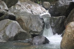 IMG_4780