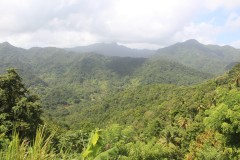 IMG_4787-Horseback-Ridge