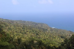 IMG_4790