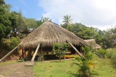 IMG_4794