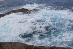 IMG_4812
