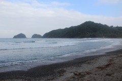 IMG_4819
