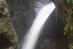 IMG_4845