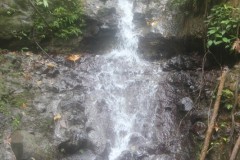 IMG_4858
