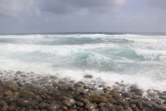 IMG_4863