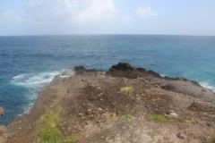 IMG_4870