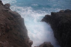 IMG_4873