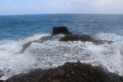 IMG_4877