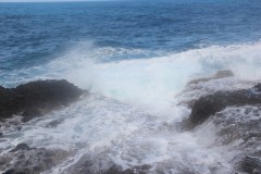 IMG_4878