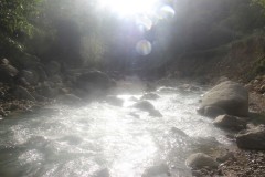 IMG_4893