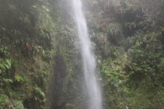 IMG_4901