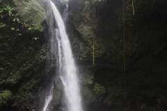 IMG_4906
