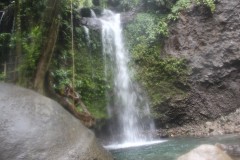IMG_4910