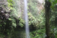IMG_4912