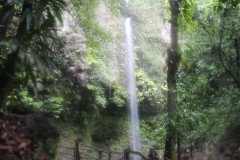 IMG_4913