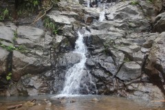 IMG_4987