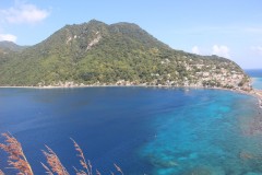 IMG_5016-Cachacrou-Scotts-Head