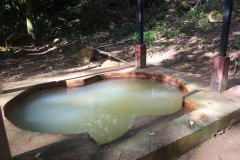 IMG_5026-Soufriére-Sulphur-Springs