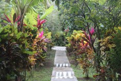 IMG_5033-Rodney´s-Wellness-Retreat-and-Carrod´s-Gardens