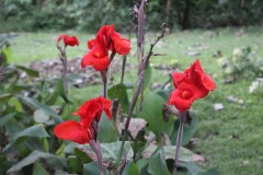 IMG_5035