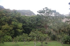 IMG_5039