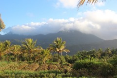 IMG_5041-Morne-Trois-Pitons-NP-Morne-Trois-Pitons-1342m