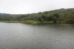 IMG_5058