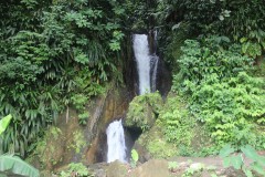 IMG_5068