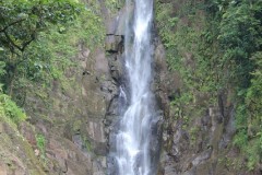 IMG_5074