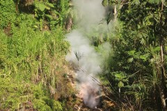 IMG_5084