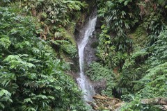 IMG_5093