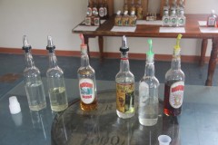 IMG_5109-Macoucheri-Shillingford-Estates-Distillery