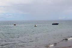 IMG_5137-Colihaut