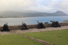IMG_5147-Lower-Battery