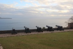 IMG_5152-Upper-Battery