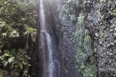 IMG_5211