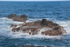 IMG_5227