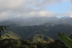 IMG_5233