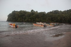 IMG_5242