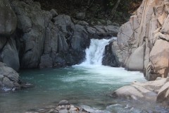 IMG_5249